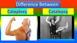 Difference between Cataplexy and Catalepsy [upl. by Ytirahs774]