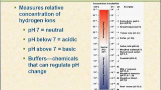 Acidifiers  Gastrointestinal Agents  Pharmaceutical Inorganic Chemistry  B Pharma 1st Semester [upl. by Genisia850]