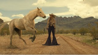 Lainey Wilson  Wildflowers and Wild Horses Official Music Video [upl. by Alil]