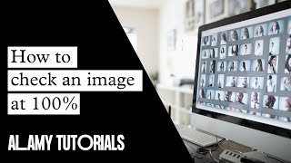 Alamy Quality Control How to check an image at 100 [upl. by Ioab]