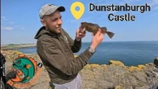 Full day of catching fish at Dunstanbough Castle [upl. by Darcia799]