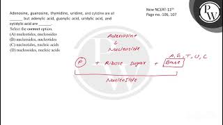 Adenosine guanosine thymidine uridine and cytidine are all  but adenylic acid guanyli [upl. by Hyacinth]