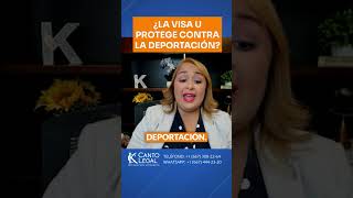 visa U protege de la deportación Llama 1 667 3082264  WA 667 4442320 VisaU usa eeuu [upl. by Camden]