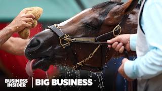 How The Fastest Horse In The Kentucky Derby® Was Bred And Raised To Win  Big Business [upl. by Muldon54]