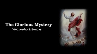 The Holy Rosary Glorious Mysteries with Litany Wednesday amp Sunday [upl. by Asille]