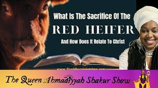 The Red Heifer Sacrifice amp Purification Ritual amp The Chaos It Could Bring amp Solar Eclipse Viewing [upl. by Assirat]