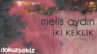 Melis Aydın  İki Keklik Official Audio [upl. by Penni]