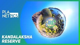 VR 360  Kandalaksha Reserve [upl. by Alamac]