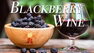 How to Make BLACKBERRY WINE for BRANDY [upl. by Jorin888]