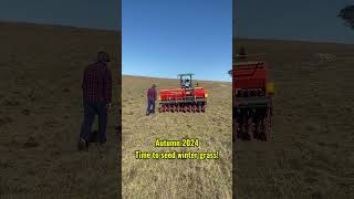 Autumn is the time to seed winter grass regenerativefarming regenerative grass winter cattle [upl. by Sherrard]