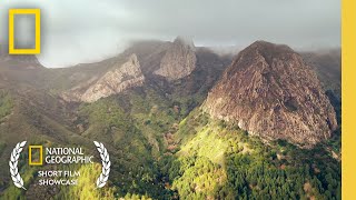 Ecotone  Short Film Showcase  National Geographic [upl. by Kcim]