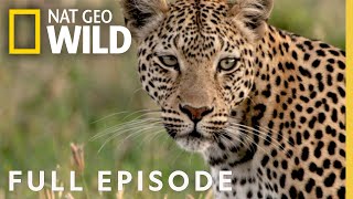 Leopards Rock Full Episode  Savage Kingdom [upl. by Jessalyn550]