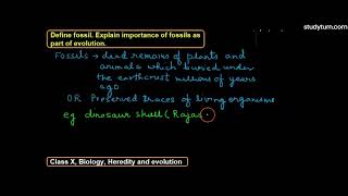 Define fossil Explain importance of fossils as part of evolution [upl. by Airdnna430]