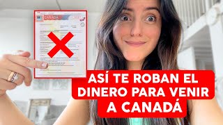 Cómo TRABAJAR en CANADÁ este 2022 si eres latino🇨🇦5 maneras de hacerlo [upl. by Enimsay]