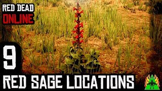 Red Dead Redemption 2 ONLINE  RED SAGE LOCATIONS [upl. by Renzo]