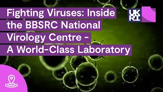 Fighting Viruses Inside the BBSRC National Virology Centre  A WorldClass Laboratory [upl. by Eiramenna]