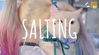 Salting remix cute  DJ Topeng  Dusk Music x Dangling Video Lyrics Tik Tok Song [upl. by Glassman]