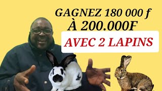 COMMENT GAGNER 200000 FCFA EN 4 MOIS AVEC 2 LAPINS [upl. by Yunick85]