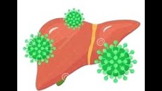 Herpes Liver Failure in PregnancyBrief Overview [upl. by Ashbaugh]