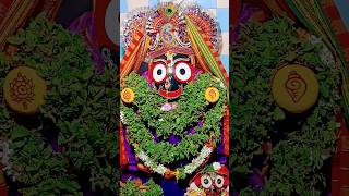 Jagannath Tumijay  Param Brahma ⭕❗⭕👏🌺🙏🛐🚩🪔🏵️🌅297240900jay jay 🔔🌼 [upl. by Streeto925]