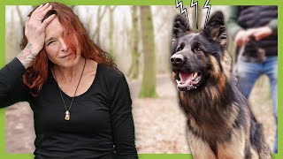 Stress für Hund und Halterin Zeno eskaliert an der Leine aus der Not heraus [upl. by Germaun791]