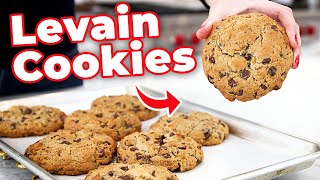 Levain bakery copycat chocolate chip cookies Cookie ChocolateChipCookie Recipe Baking [upl. by Kaufmann43]