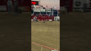 Bandera rodeo kids rodeo texas sheep kids cowboys [upl. by Ydualc]