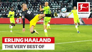 Erling Haaland  The Best Skills amp Goals [upl. by Llerrehc]