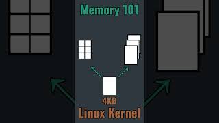 Linux Kernel Memory 101 linux technology kernel [upl. by Eiclud]