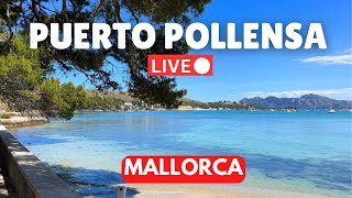 🔴LIVE in Puerto Pollensa Mallorca Majorca  15 June 2024 [upl. by Kcirddehs]