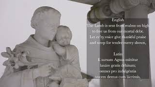 Behold a voice resounding clear Advent Lauds Hymn [upl. by Scornik]