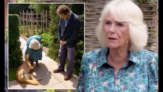 Camilla’s Gardners’ World stint overshadowed as Monty Don’s pet derails segment ‘Naughty [upl. by Ecnahc]