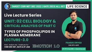 Types of Phospholipids In Plasma Membrane Cell Biology  Unit 02 [upl. by Nosae736]