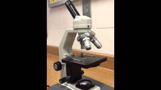 Parts amp Functions of Microscope [upl. by Ahcropal]