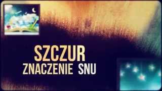 Sennik Szczur  Odkryj Znaczenie Snów o Szczurze  Sennikbiz [upl. by Norted]