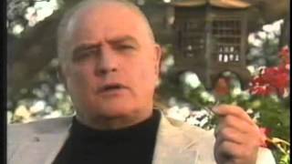 Marlon Brando  Interview deutsch1989 [upl. by Akemak]