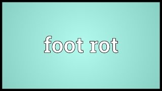 Foot rot Meaning [upl. by Haida]