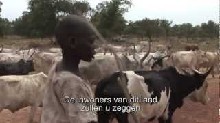 Veehouderij 20 de Dinka in ZuidSoedan [upl. by Norby462]