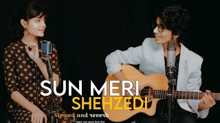 SUN MERI SHEHZADI MAIN HOON TERI SHEHZADA FEMALE VERSION PRITHVIRAJ amp SHEETAL [upl. by Yeblehs]