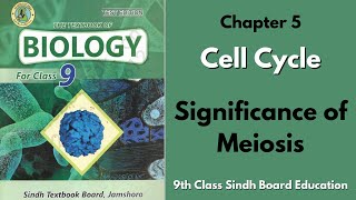 Significance of Meiosis  Chapter 5  Cells Cycle  9th class Sindh Board [upl. by Littman]