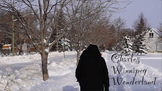 A typical Winter day in Winnipeg Manitoba Canada [upl. by Eirrehc680]