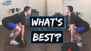 Barbell vs Dumbbell Deadlift  Lower Back Strengthening by a PT [upl. by Ettenuj783]