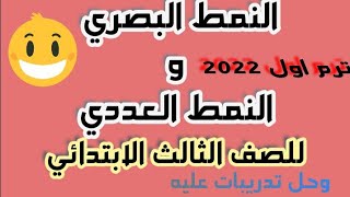 النمط البصري والنمط العددي وحل تدريبات للصف الثالث الابتدائي 2022 ترم اول [upl. by Ecinad]