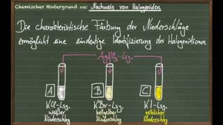 Halogenid Nachweis mit Silbernitrat [upl. by Ihcego]