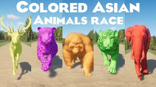 Colored Asian Animals Races in Planet Zoo included Bengal Tiger Indian Elephant Orangutan amp etc [upl. by Adlig]