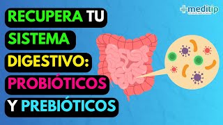 Cómo Sanar el Intestino Probióticos y Prebióticos para el Colon Saludable [upl. by Dyson444]