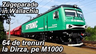 64 de trenuri la Dirza pe M1000  Train Megacompilation  Züge Parade in Wallachia [upl. by Terra]