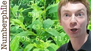 Primes are like Weeds PNT  Numberphile [upl. by Anrev723]