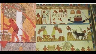 Ancient Egypt Crops [upl. by Zurc]