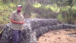 برماكلتشر مع صلاح حماد الجابيون و استعمالاتهPermaculture with Salah Hammad  Uses of Gabions [upl. by Ojyllek]